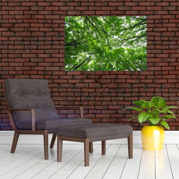 Slika - Pogled u krošnje drveća (90x60 cm)