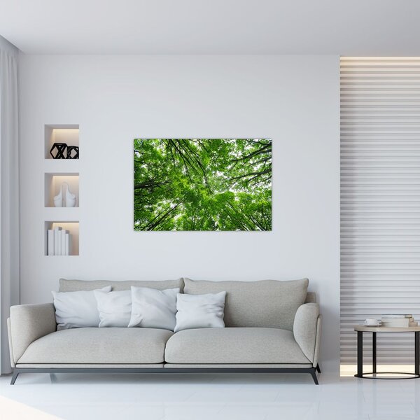 Slika - Pogled u krošnje drveća (90x60 cm)