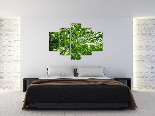 Slika - Pogled u krošnje drveća (150x105 cm)