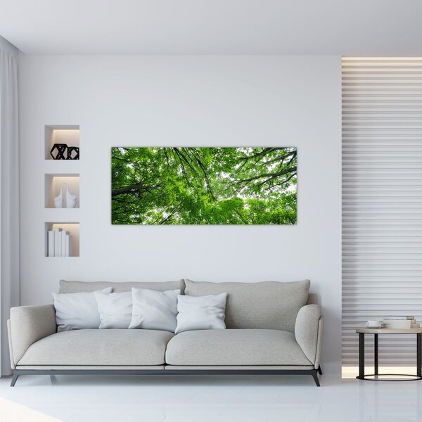 Slika - Pogled u krošnje drveća (120x50 cm)