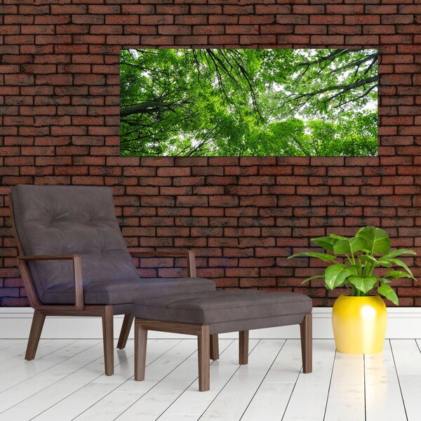 Slika - Pogled u krošnje drveća (120x50 cm)
