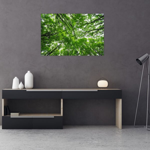 Slika - Pogled u krošnje drveća (90x60 cm)