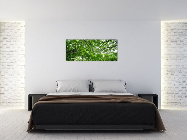 Slika - Pogled u krošnje drveća (120x50 cm)