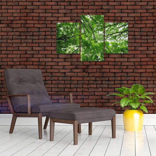 Slika - Pogled u krošnje drveća (90x60 cm)