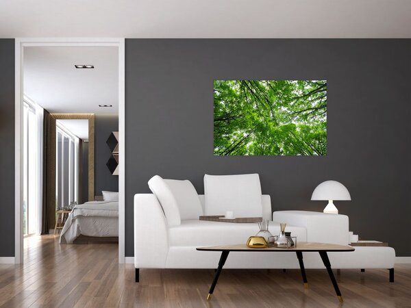 Slika - Pogled u krošnje drveća (90x60 cm)