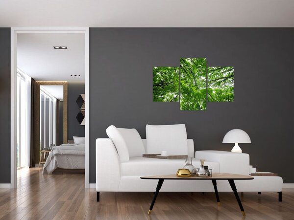 Slika - Pogled u krošnje drveća (90x60 cm)