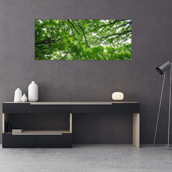 Slika - Pogled u krošnje drveća (120x50 cm)
