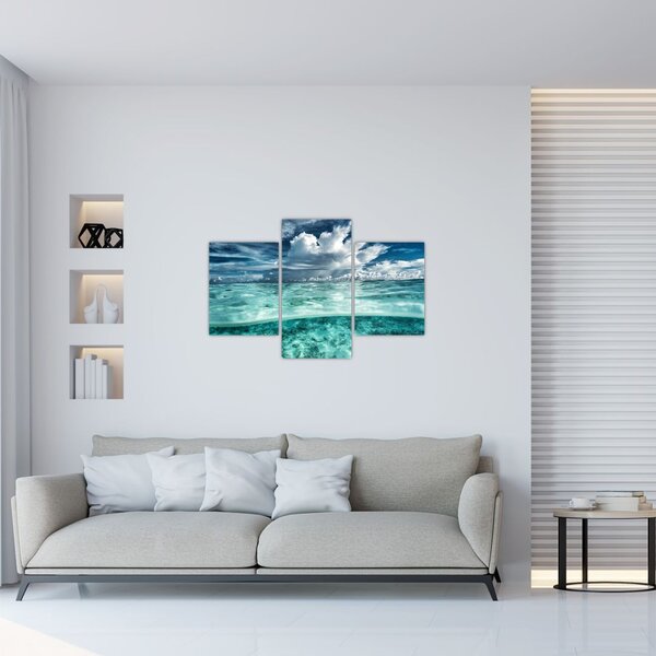 Slika - Pogled u podmorje (90x60 cm)