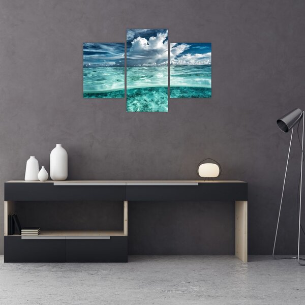 Slika - Pogled u podmorje (90x60 cm)