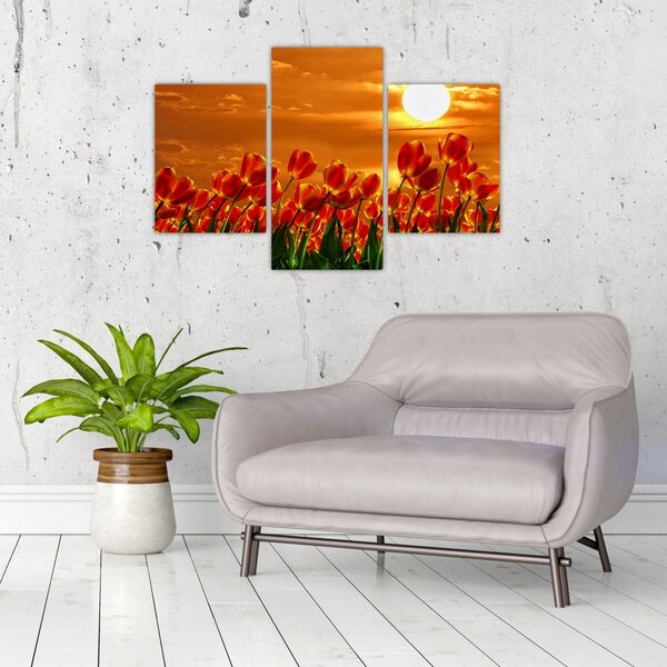 Slika cvatućeg polja s tulipanima (90x60 cm)