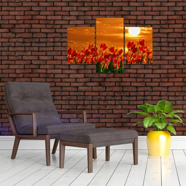 Slika cvatućeg polja s tulipanima (90x60 cm)