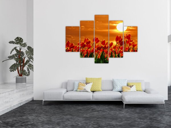 Slika cvatućeg polja s tulipanima (150x105 cm)