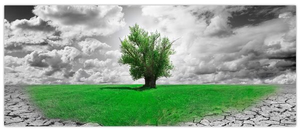 Slika - Djelić prirode u gradu (120x50 cm)