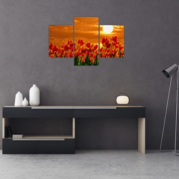 Slika cvatućeg polja s tulipanima (90x60 cm)
