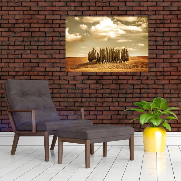 Slika proplanka (90x60 cm)