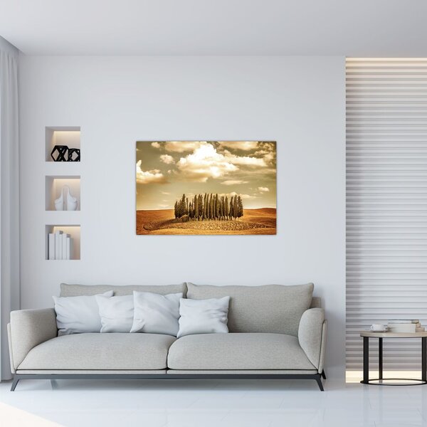 Slika proplanka (90x60 cm)
