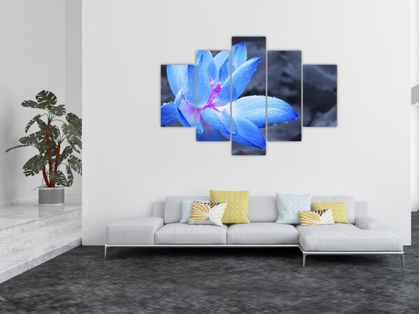 Slika detalj cvijeta (150x105 cm)