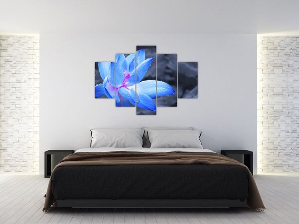 Slika detalj cvijeta (150x105 cm)
