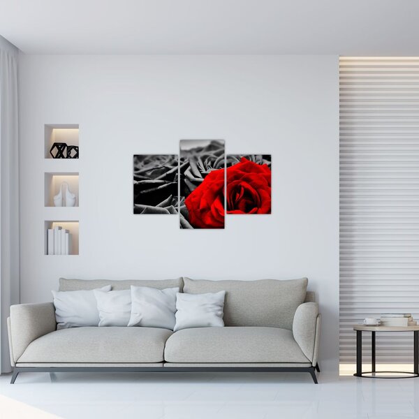 Slika - Cvjetovi ruže (90x60 cm)