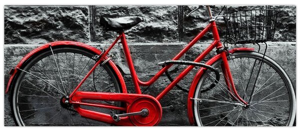 Slika - Povijesni bicikl (120x50 cm)