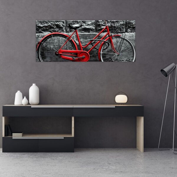 Slika - Povijesni bicikl (120x50 cm)