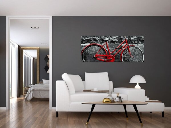 Slika - Povijesni bicikl (120x50 cm)