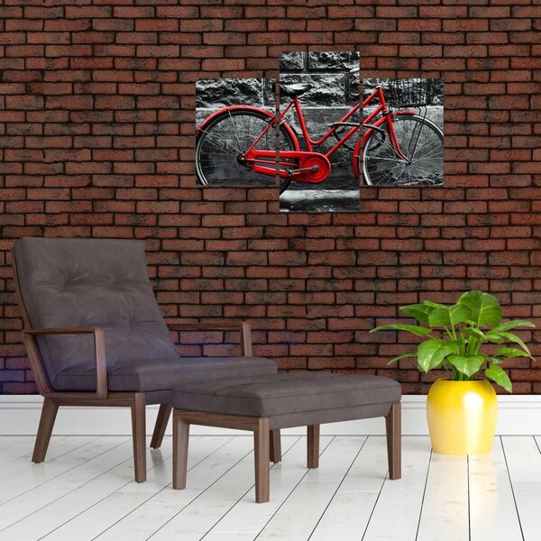 Slika - Povijesni bicikl (90x60 cm)
