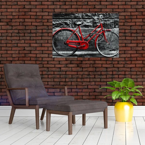 Slika - Povijesni bicikl (90x60 cm)
