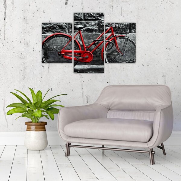 Slika - Povijesni bicikl (90x60 cm)