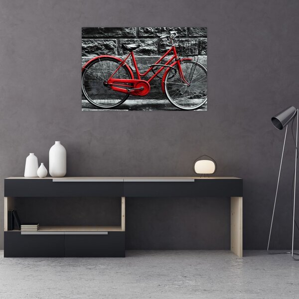 Slika - Povijesni bicikl (90x60 cm)