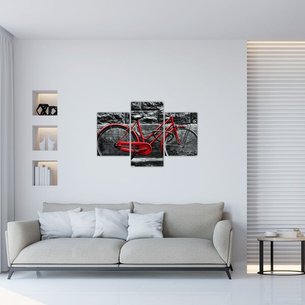Slika - Povijesni bicikl (90x60 cm)