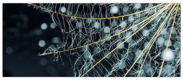 Slika - Cvijet s paučinom (120x50 cm)