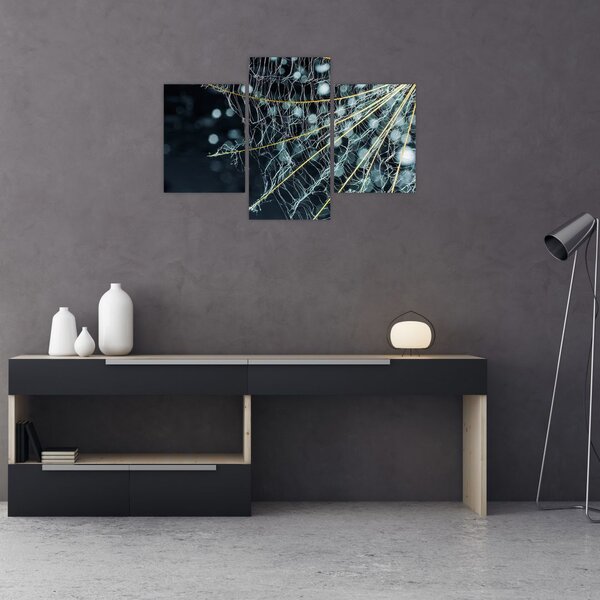 Slika - Cvijet s paučinom (90x60 cm)