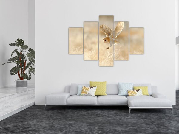 Slika - Sova kukuvija (150x105 cm)