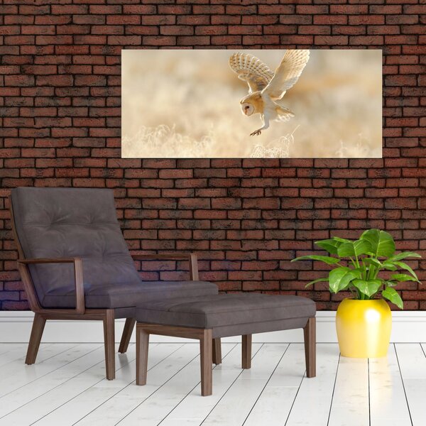 Slika - Sova kukuvija (120x50 cm)