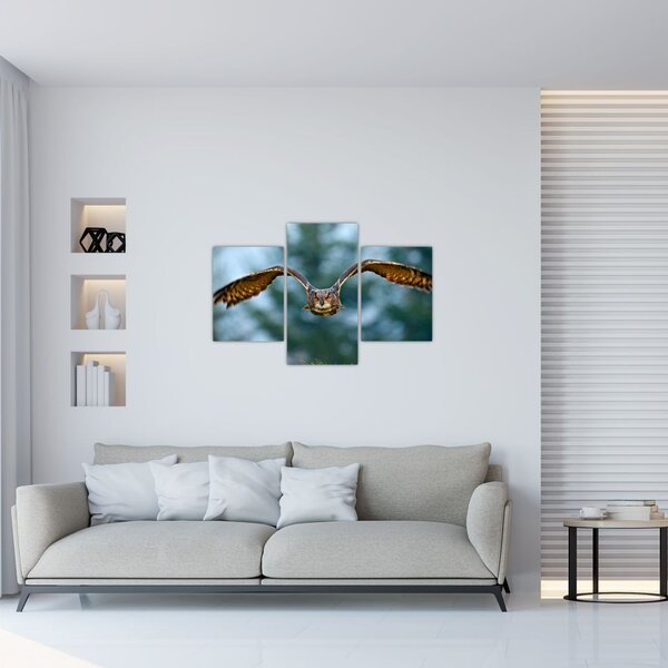 Slika - Sova u letu (90x60 cm)