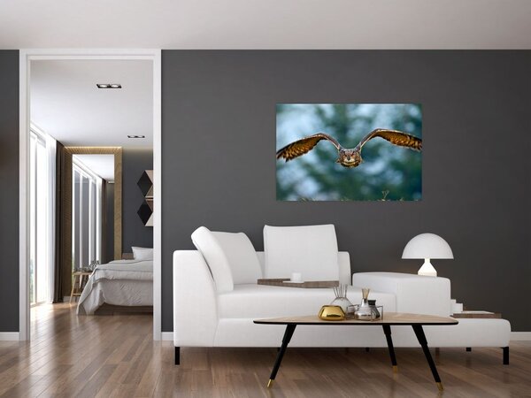 Slika - Sova u letu (90x60 cm)
