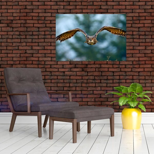 Slika - Sova u letu (90x60 cm)