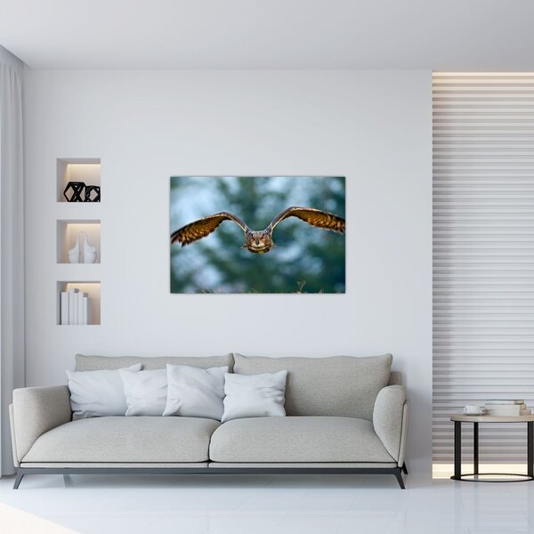 Slika - Sova u letu (90x60 cm)