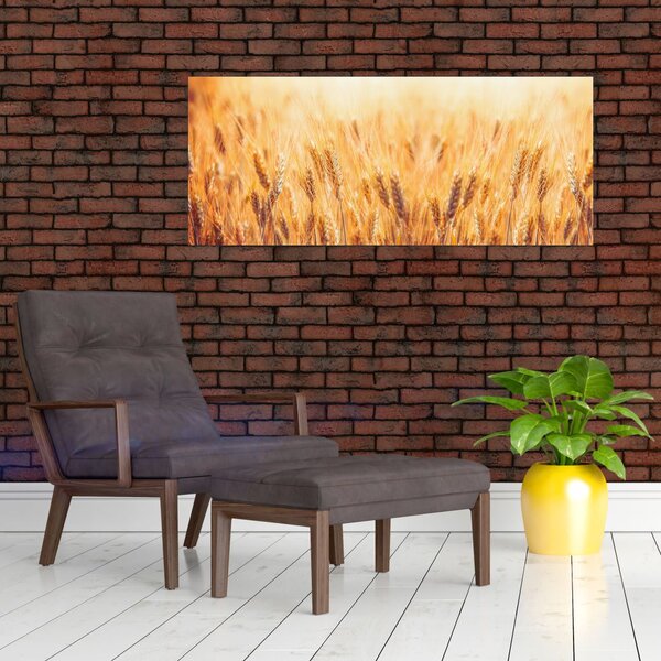 Slika - polje sa žitom (120x50 cm)