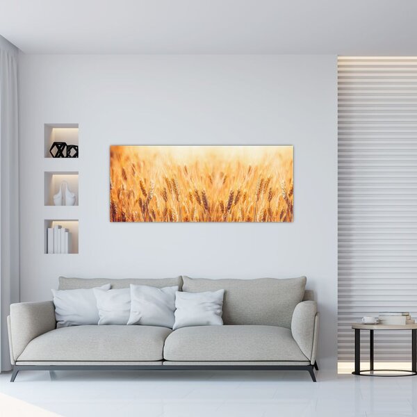 Slika - polje sa žitom (120x50 cm)
