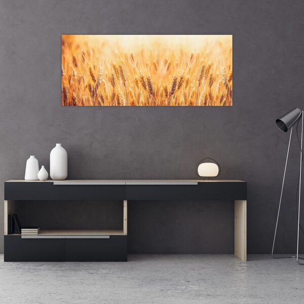 Slika - polje sa žitom (120x50 cm)