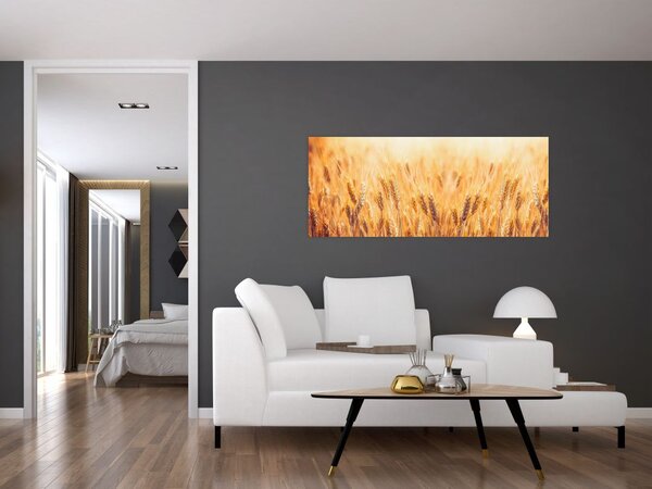 Slika - polje sa žitom (120x50 cm)