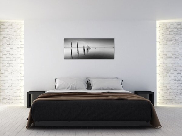 Slika crno-bijele vodene površine (120x50 cm)