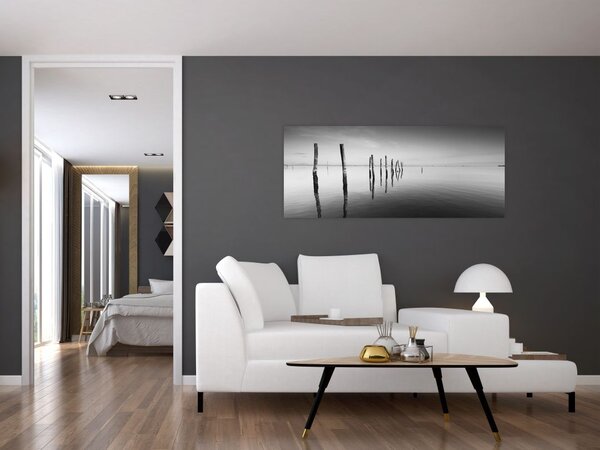 Slika crno-bijele vodene površine (120x50 cm)