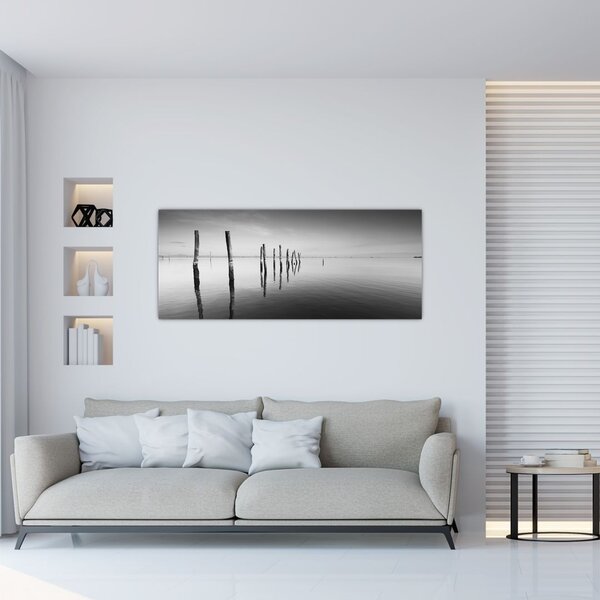 Slika crno-bijele vodene površine (120x50 cm)