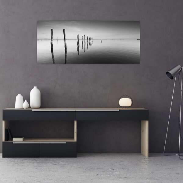 Slika crno-bijele vodene površine (120x50 cm)