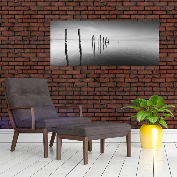 Slika crno-bijele vodene površine (120x50 cm)