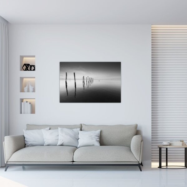 Slika crno-bijele vodene površine (90x60 cm)