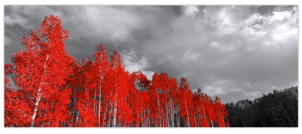 Slika - Drveće u jesenskim bojama (120x50 cm)